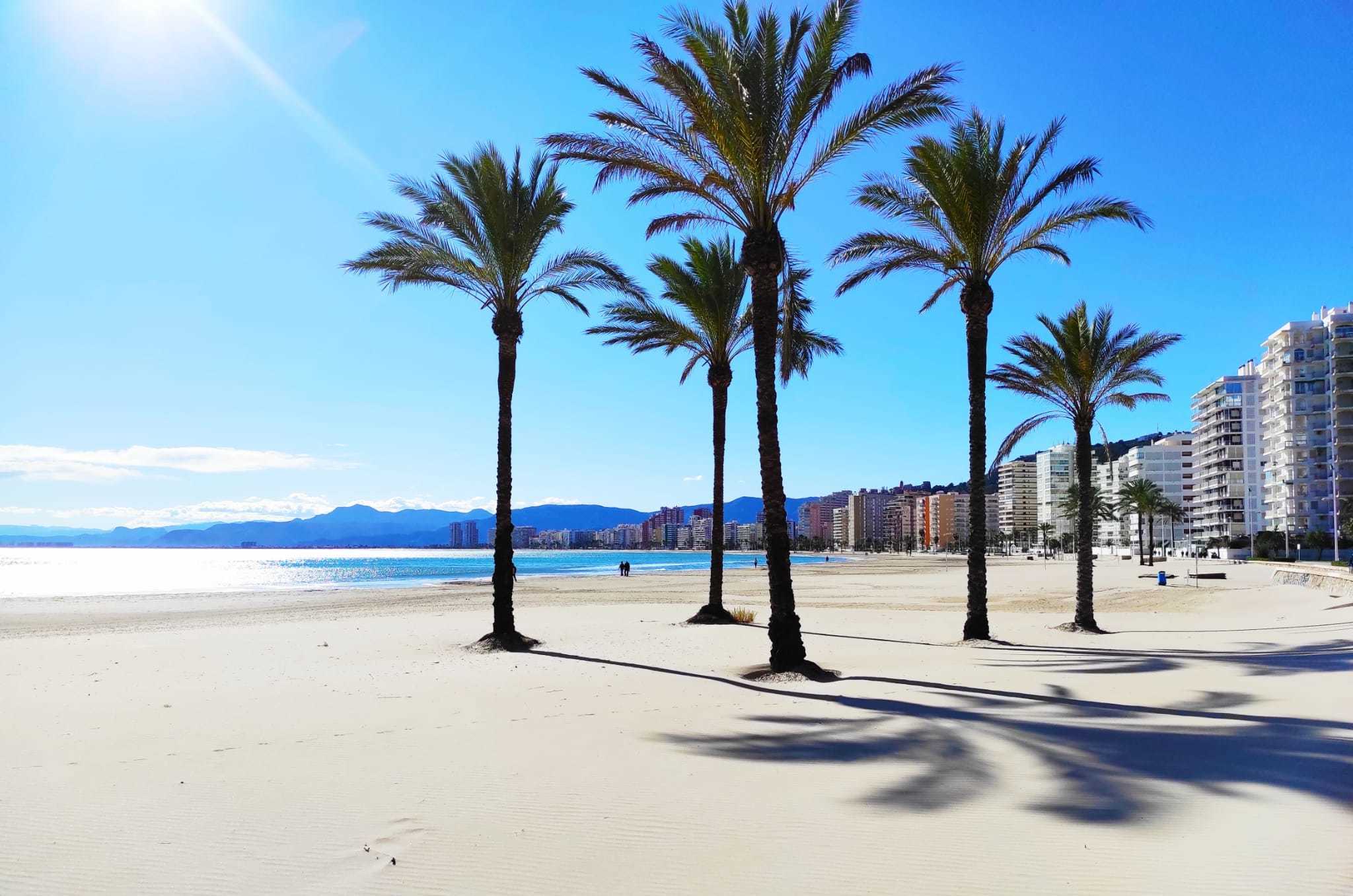 Playa de Cullera con palmeras